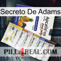 Adams Secret 11